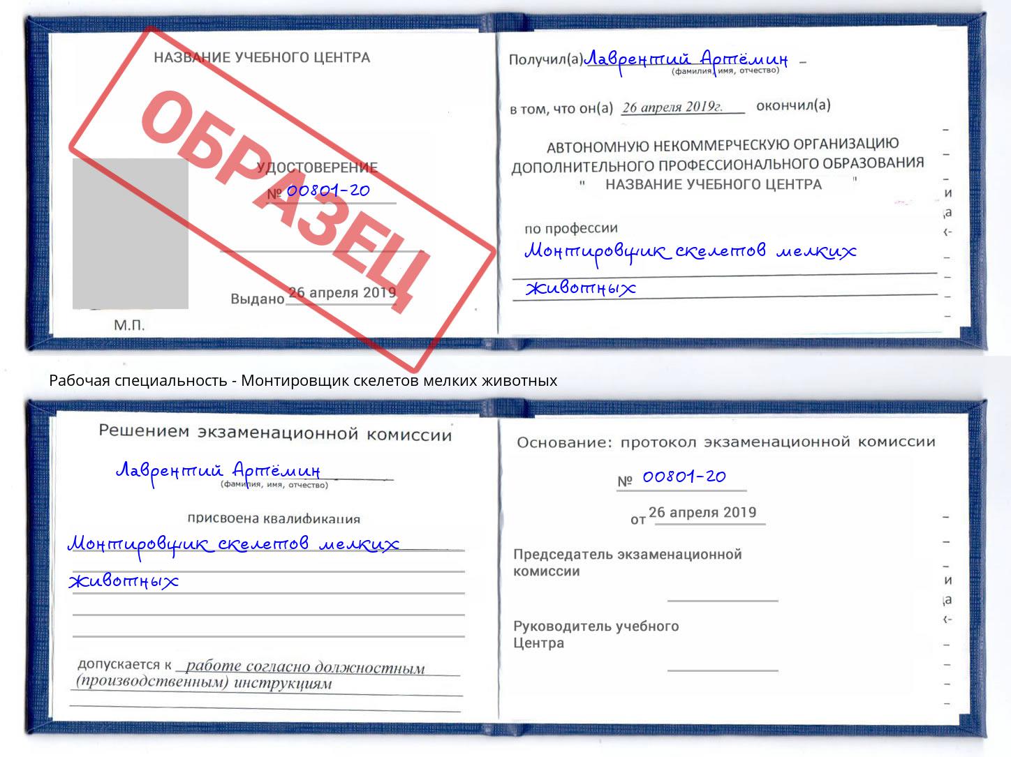 Монтировщик скелетов мелких животных Анжеро-Судженск