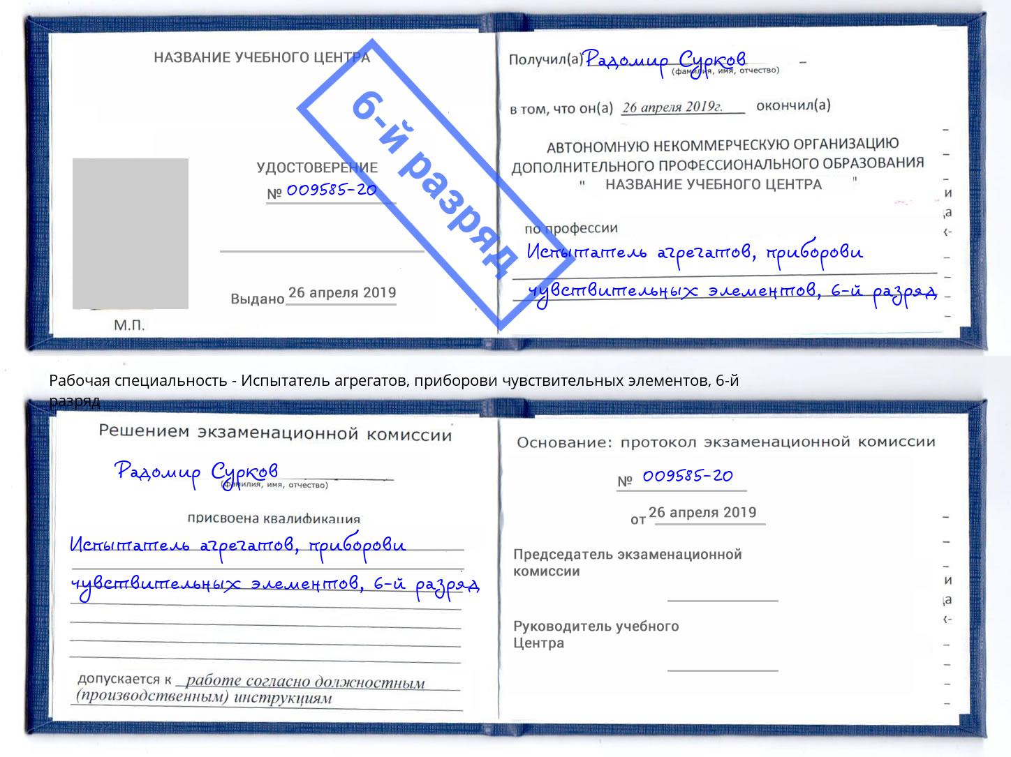корочка 6-й разряд Испытатель агрегатов, приборови чувствительных элементов Анжеро-Судженск