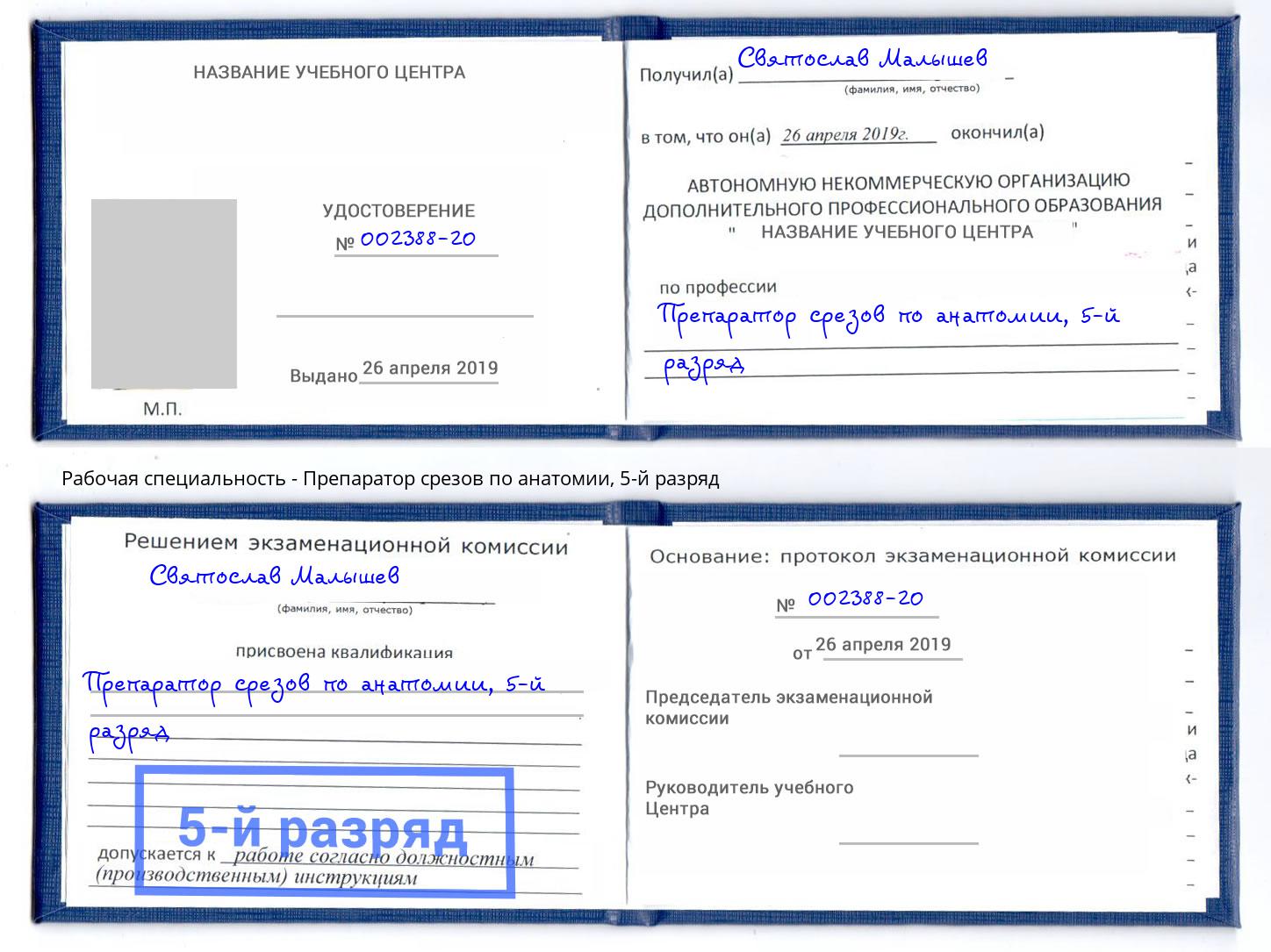 корочка 5-й разряд Препаратор срезов по анатомии Анжеро-Судженск