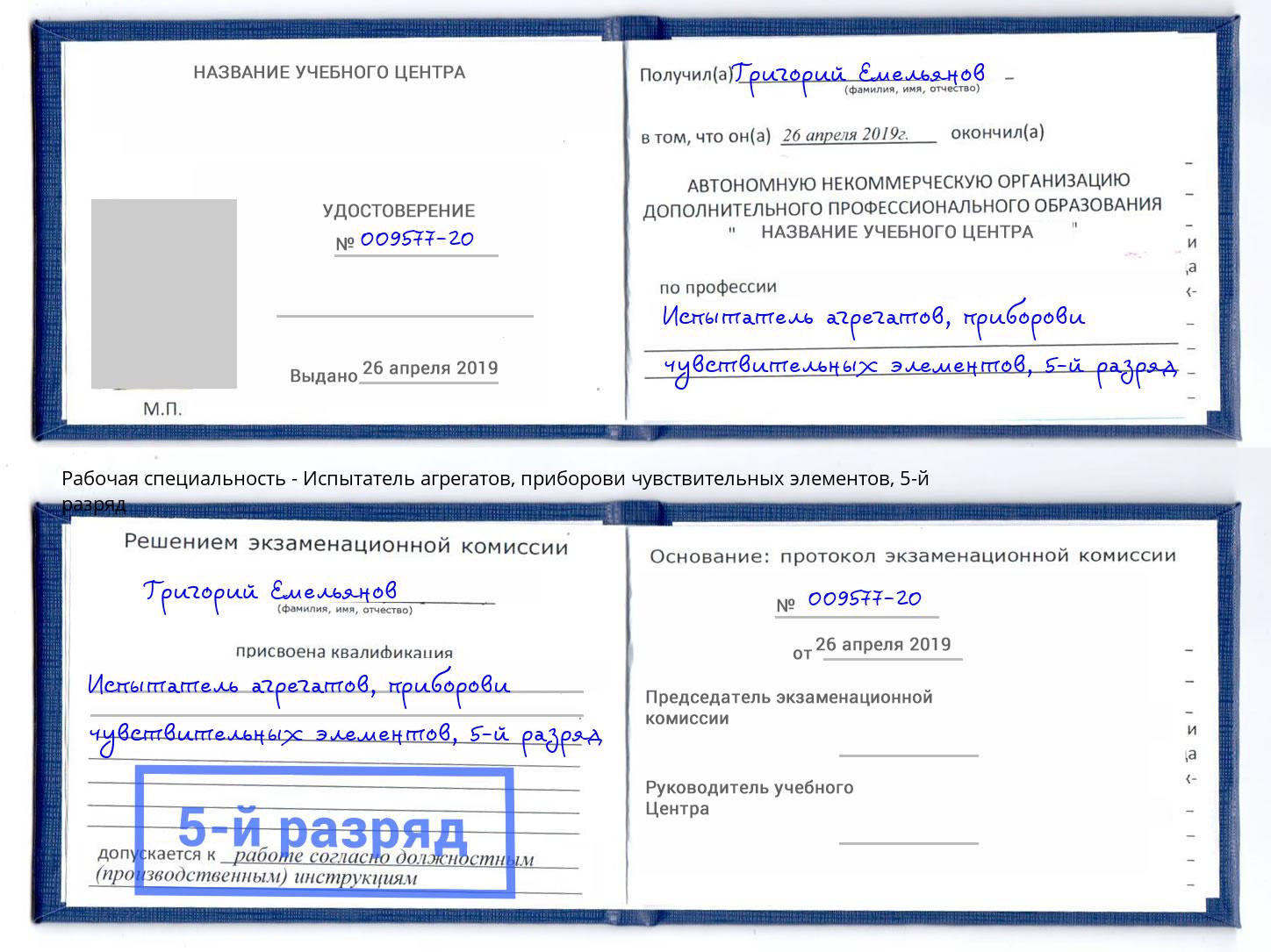 корочка 5-й разряд Испытатель агрегатов, приборови чувствительных элементов Анжеро-Судженск