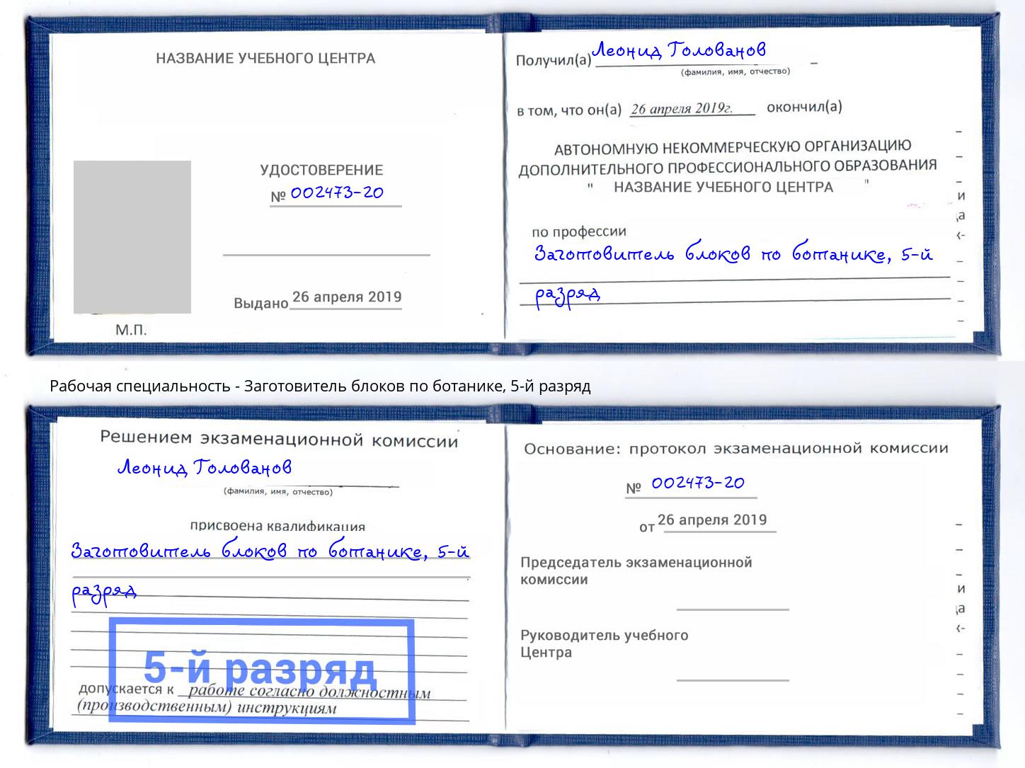 корочка 5-й разряд Заготовитель блоков по ботанике Анжеро-Судженск