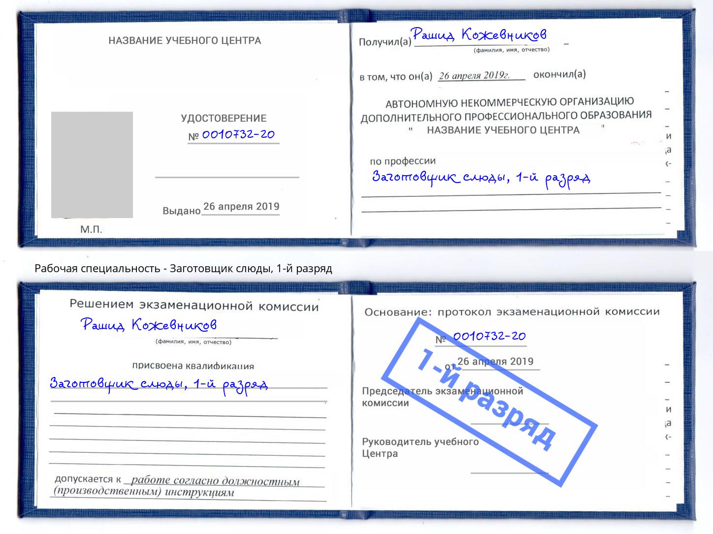 корочка 1-й разряд Заготовщик слюды Анжеро-Судженск